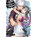 Is It Wrong to Try to Pick Up Girls in a Dungeon?, Vol. 10 (Manga)