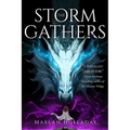 The Storm Gathers