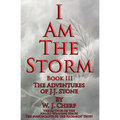 I Am the Storm