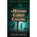A Wizard Comes Calling