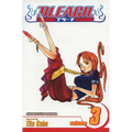 Bleach, Volume 3
