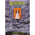 Skyclan and the Stranger #1: The Rescue: The Rescue