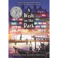 A Wish in the Dark