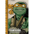 Teenage Mutant Ninja Turtles: The IDW Collection Volume 7