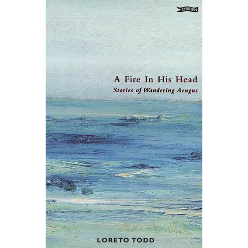 A Fire in His Head: Stories of Wandering Aengus