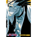 Bleach, Volumes 13-15