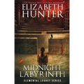 Midnight Labyrinth