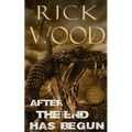 After the End Has Begun