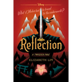 Reflection: A Twisted Tale