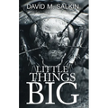 Little Things Big