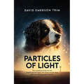 Particles of Light: The misadventures of one bright son of a gun, his smart mouth dog and everything under the sun.