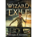 Wizard in Exile