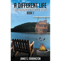 A Different Life: An Adirondack Justice Story Book 1
