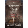Rise of the Witch Hunters