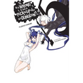 Is It Wrong to Try to Pick Up Girls in a Dungeon?, Vol. 15 (Light Novel): Volume 15
