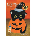 Little Black Cat Finds a Home