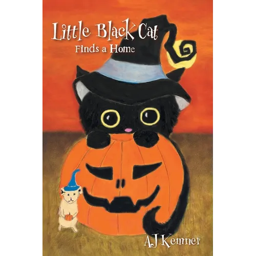 Little Black Cat Finds a Home