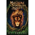 Magical Midlife Rogue