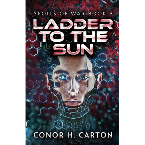 Ladder To The Sun