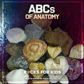 ABCs of ANATOMY: Rocks for Kids