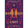 A Marvellous Light
