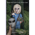 What the Small Gray Visitor Said