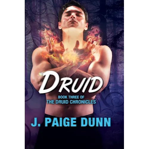 Druid: Book Three of the Druid Chronicles