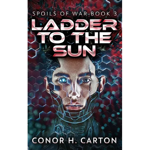 Ladder To The Sun