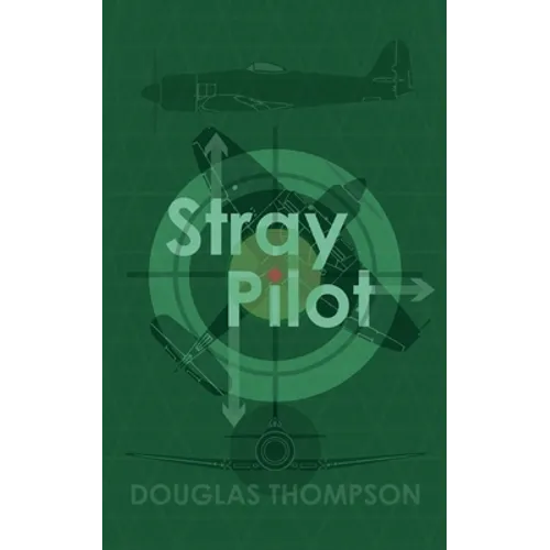 Stray Pilot
