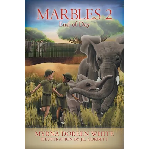 Marbles 2: End of Day