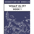 What Is It Book 1: Drawings 1 to 250