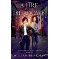 A Fire in the Shadows: A Bolingbrook Babbler Story