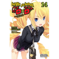 High School DXD, Vol. 14 (Light Novel): Mages of Career Counselling