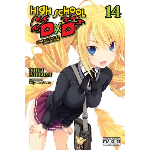 High School DXD, Vol. 14 (Light Novel): Mages of Career Counselling