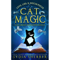 Love, Lies, and Hocus Pocus Cat Magic: A Lily Singer Adventures Novella