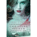 The Twilight Before Christmas