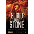 Blood from a Stone: A Time Travel Thriller