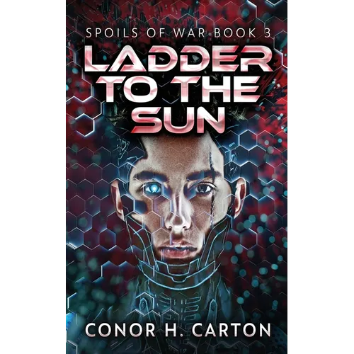 Ladder To The Sun