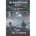 Reckoning of a BrimTier Pirate: The BrimTier Chronicles