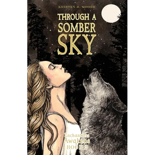 Through a Somber Sky