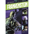 Frankenstein: A Graphic Novel