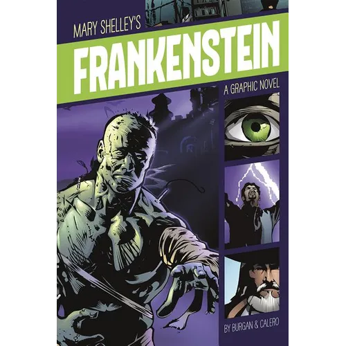 Frankenstein: A Graphic Novel