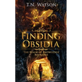 Finding Obsidia