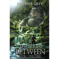 The Realm Between: The Curse: (Book 1)