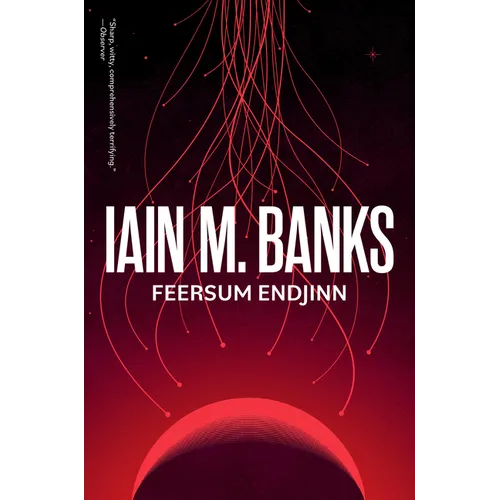 Feersum Endjinn