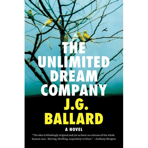 Unlimited Dream Company