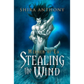 Stealing the Wind