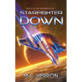Starfighter Down