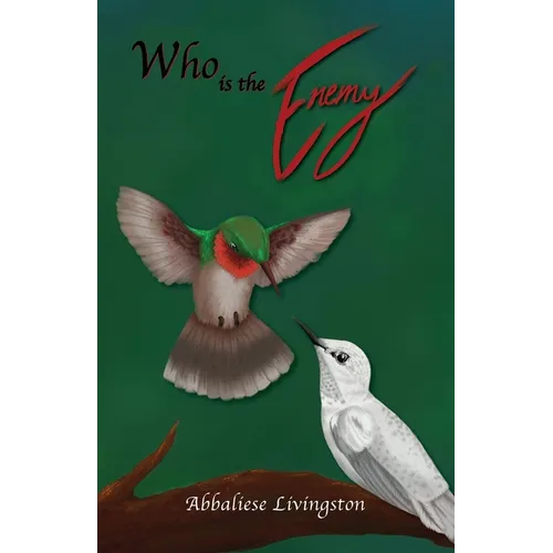 Who is the Enemy