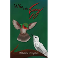 Who is the Enemy